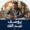 يوسف عبد الله