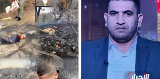 كريم طابو: كيف نحوّل ألم حرائق الجزائر إلى أمل جماعي؟