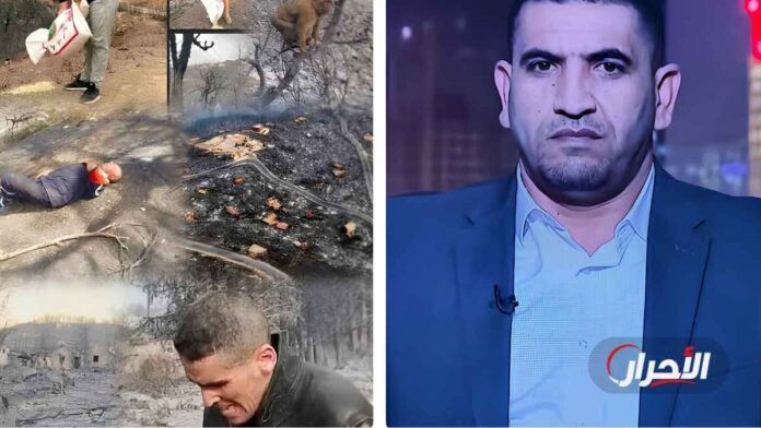 كريم طابو: كيف نحوّل ألم حرائق الجزائر إلى أمل جماعي؟