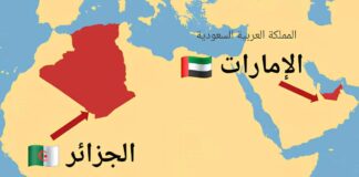 الجزائر و الإمارات