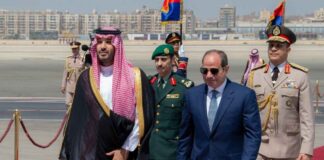 بن سلمان السيسي باب المندب